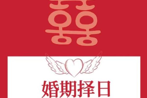 属猪的行嫁月是几月 数猪的行嫁月