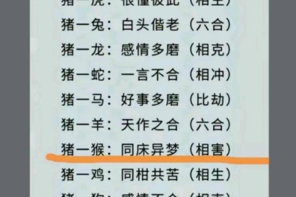 属猪的几月生最好 属猪的几月生最好的命