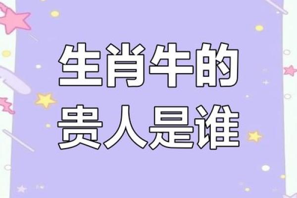 属牛属羊千万不能在一起 属牛属羊合不合