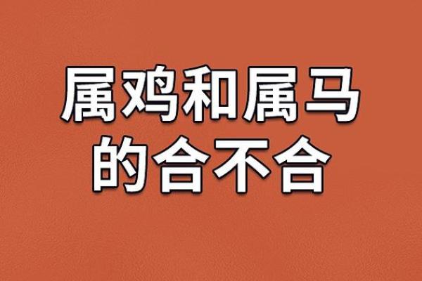 龙女男鸡属相合不合 龙女和鸡男合不合