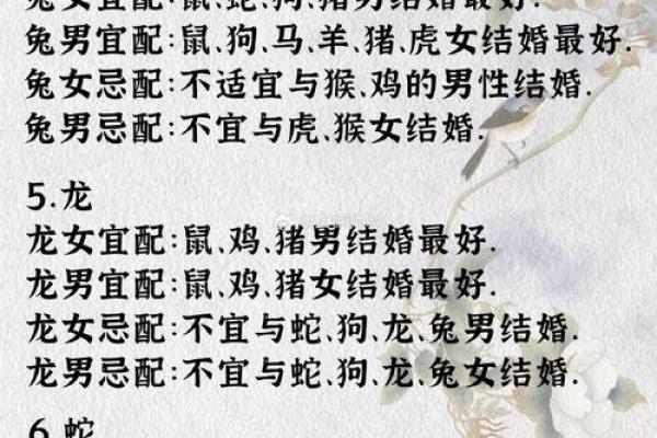 龙女男鸡属相合不合 龙女和鸡男合不合