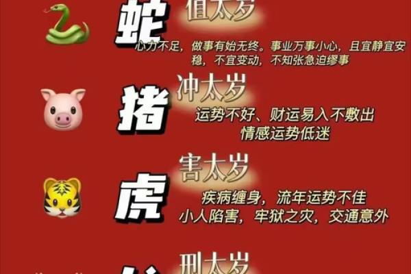 属马女不能和什么属相在一起 属马女和什么属相不合适
