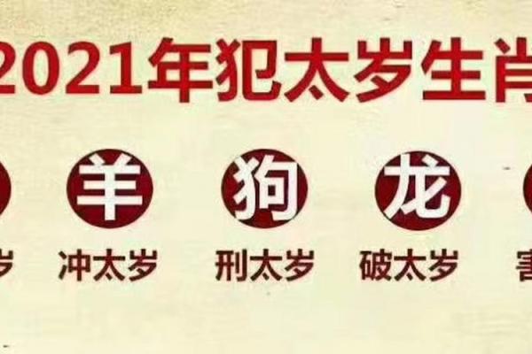 2021是什么年属什么年