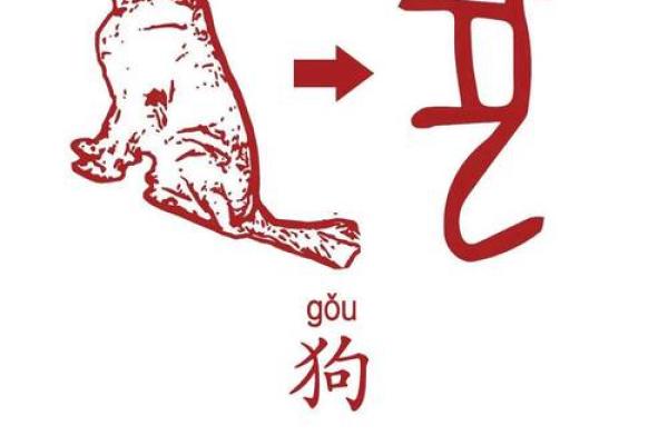 如影随形着个成语在十二生肖中具体指的是哪一个动物呢？