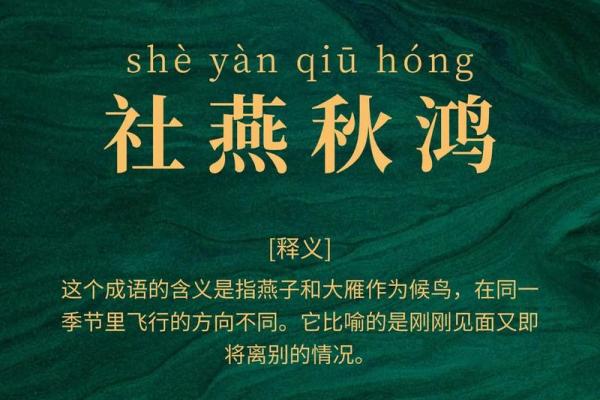 请问根据成语言之有据”的含义来推测，它最有可能代表的是哪个生肖？