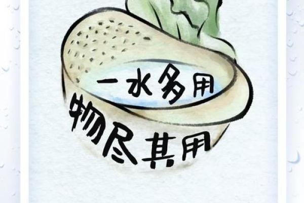 厉行节约是什么生肖(厉行节约是什么生肖)