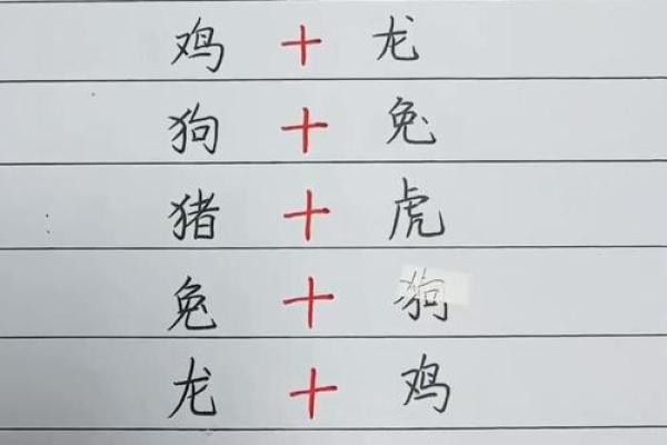 佳字什么属相不能取名 佳字什么属相不能取名字呢