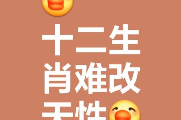 ‌不法之徒是什么生肖 → 鼠（鼠窃违法，宵小之徒）‌