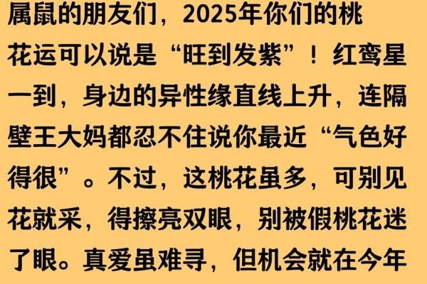 1984年属鼠人2025年运势详解全年运程完整版
