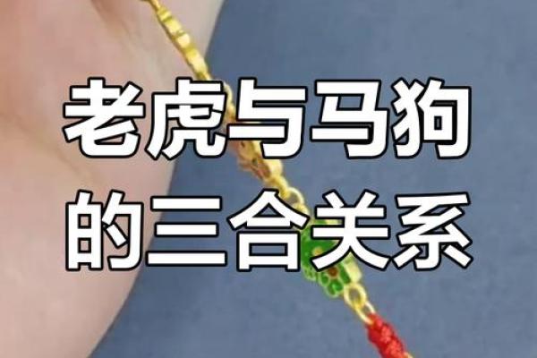 女虎和男马的属相合不合 女虎和男马的生肖婚姻配吗