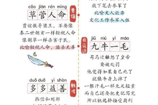 后生可畏打一生肖正确答案揭晓，附详细文化典故与出处说明