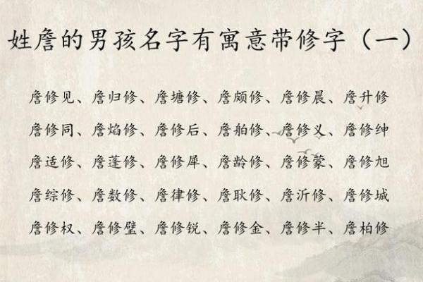 仪字什么属相不能取 仪字用在名字里的意思是什么