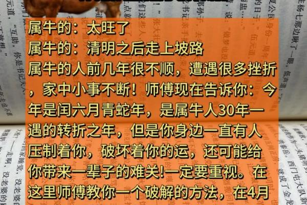 2025年哪些生肖不能扫墓 2021年什么生肖不可以扫墓