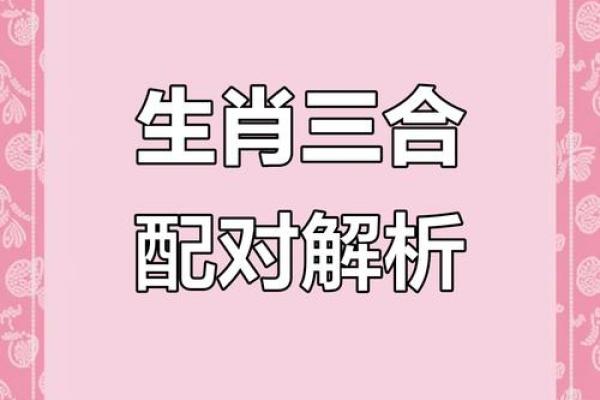 猴子与龙的属相合不合 猴子与龙的属相合不合呢