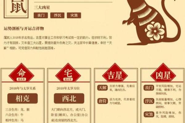1996年属鼠的人哪一年生龙宝宝运势最好最吉利