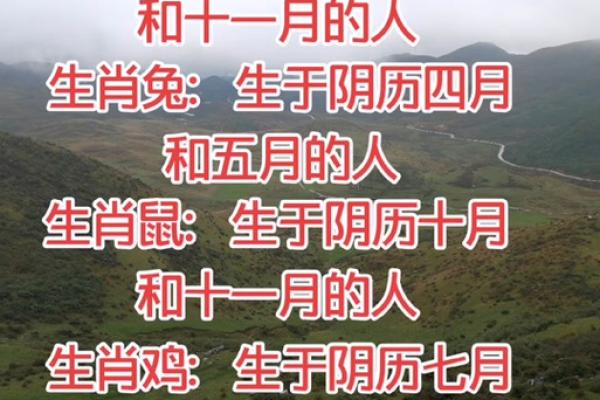 属虎女孩几月出生最好命 属虎女孩几月出生最好命阴历