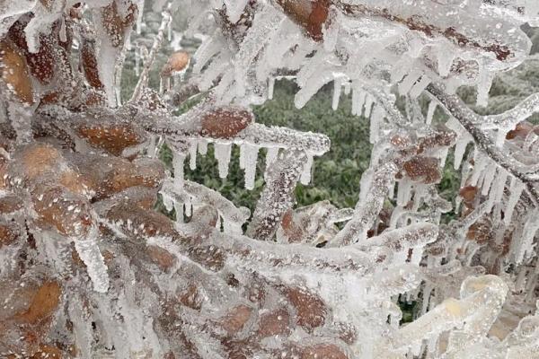 滴水成冰打一个生肖(滴水成冰打一生肖谜底)