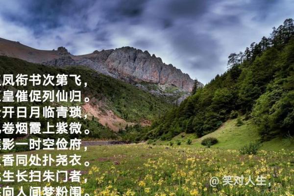 春花秋月是什么生肖(春花秋月是什么生肖打一数字)