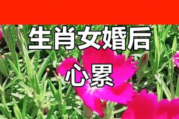 最深情的三大生肖女 最深情的女人是什么意思