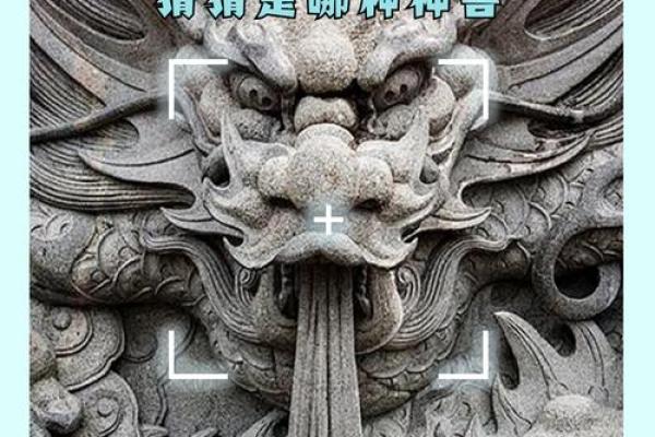 浪子回头在十二生肖中代表哪个动物，有什么具体的象征意义和故事？