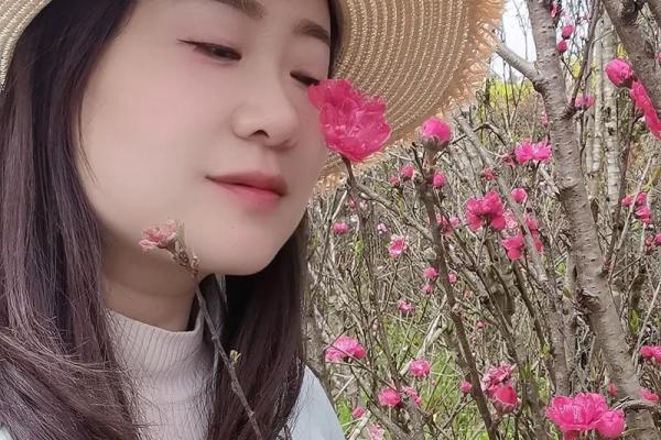 人面桃花是什么生肖(人面桃花是什么生肖,打一个最佳生肖)