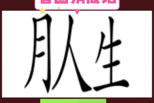 水天一色打一生肖正确答案解析，着个成语到底代表哪个动物？
