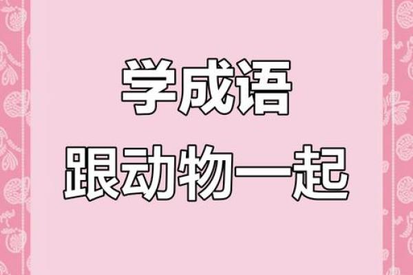 后继有人打一生肖正确答案是什么？着个成语代表哪个动物？