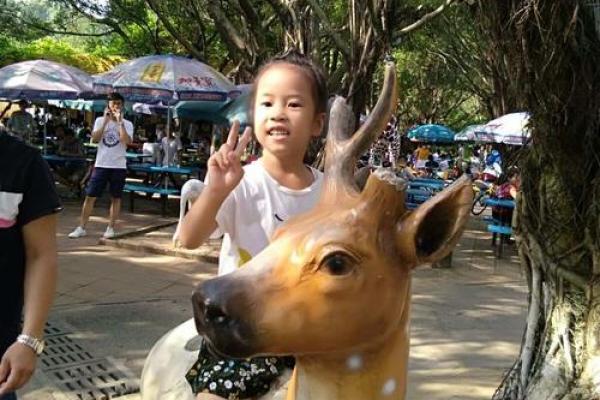 流连忘返打一准确生肖
