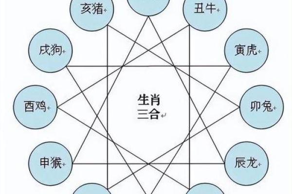 属相相冲最厉害的一对是哪些，婚姻和合作中如何避免冲突？