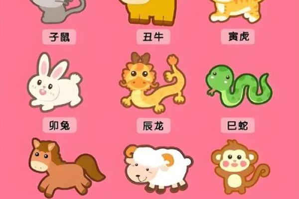 不大不小打一生肖