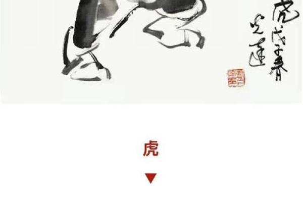 揭秘南北通商所指的生肖含义，今晚结果与生肖关联分析