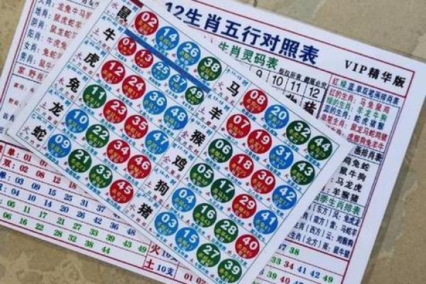 2024年12生肖49码图 2024十二生肖149表