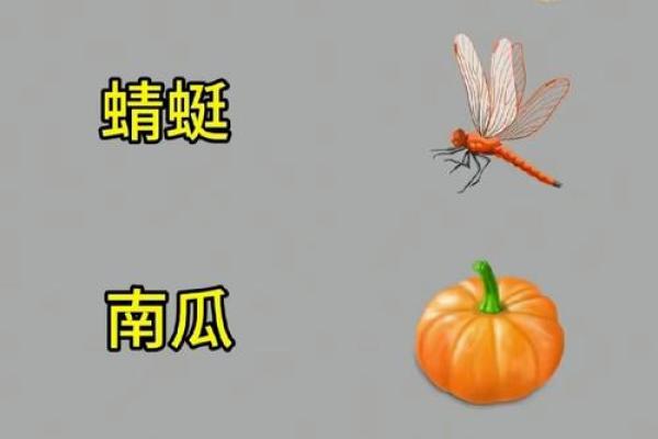 目光如豆着个成语具体指的是哪一个生肖动物呢？求解惑