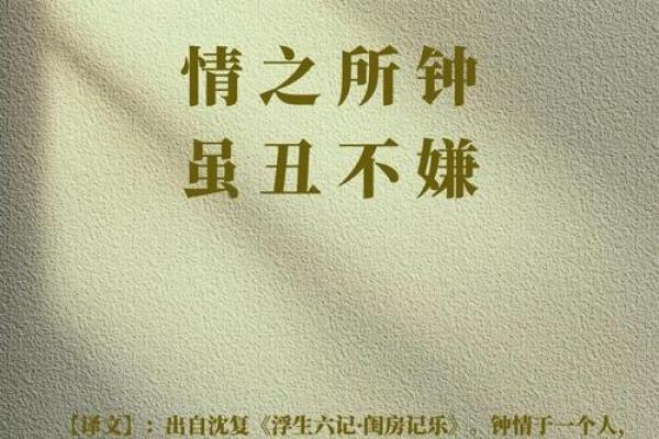 白首如新打一生肖(白首如新打生肖动物)