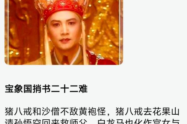 西游记中历经八十一难最终到达西天的生肖代表是谁？