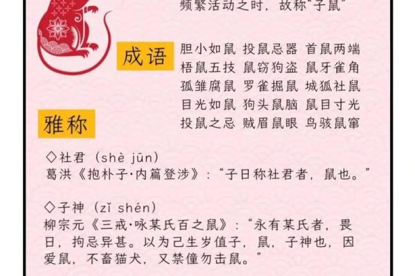 三五情缘八最知是什么生肖(三五相伴指什么生肖)