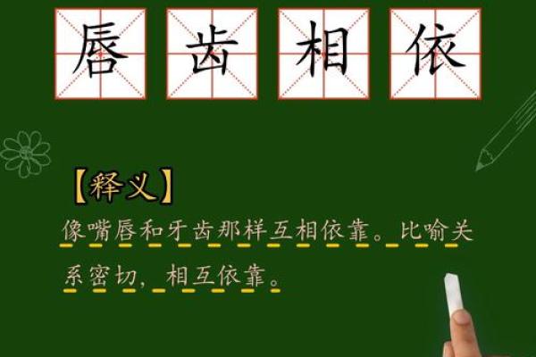 唇红齿白打一生肖(唇红齿白打一生肖动物)