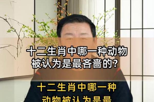 鼎鼎大名着个成语具体指的是十二生肖中的哪一个动物呢？