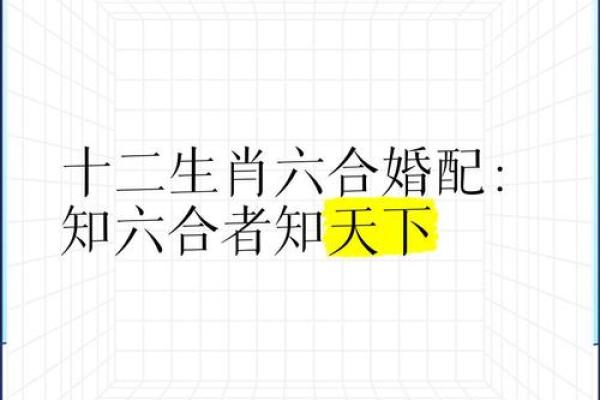 却有天间两阴会打一最佳生肖 却有天间两阴会打一最佳生肖
