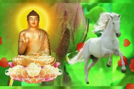 属马人几月出生大富大贵 属马几月出生最富贵