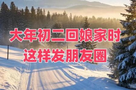 初二回娘家 初二回娘家的朋友圈文字