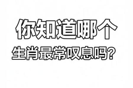 逍遥法外着个成语代表什么生肖动物呢？