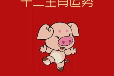 2013年属猪人的运势(猪13年相当于人多少岁)