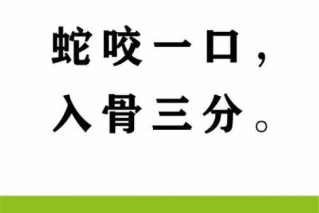 ‌欲钱去买牙刷打一生肖 → 蛇（蛇舌如刷，谐音牙”）‌