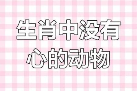 在十二生肖中，哪个动物常被用来象征独守空房或孤独的命运？