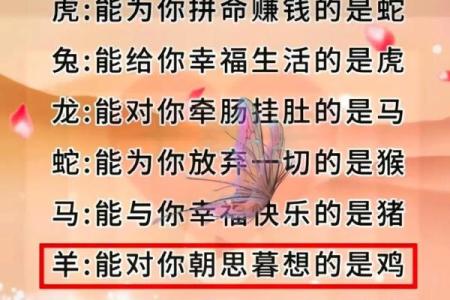 十二生肖中哪个最让人牵肠挂肚，情感象征与性格分析