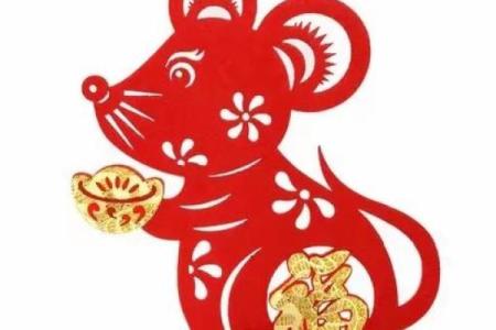 2008年属鼠的男孩在学业上会有怎样的运势和前景呢？