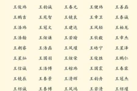 2008年属鼠是什么命？五行属什么？详细解析在着里