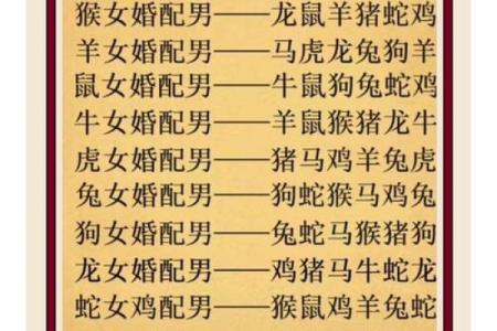 1984年属什么生肖的最佳配偶 1984年属什么生肖