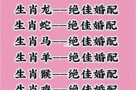 生日婚姻配对(生日婚姻配对属相表)